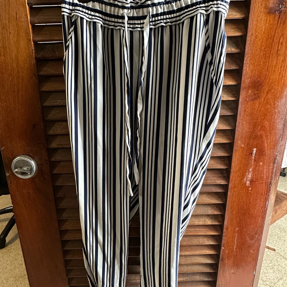 Zara Striped Navy and White Pants